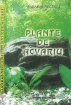 plante