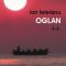 Ion Teleianu – Oglan