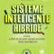 Ioan Andone – Sisteme inteligente hibride. Teorie. Studii de caz pentru aplicaţii economice. Ghidul dezvoltatorului