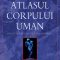 Peter Abrahams – Atlasul corpului uman