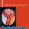 Adolfo Bioy Casares – Dormind la soare
