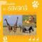 Editura Art – Animalele din savană