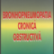 Florin Dumitru Mihălţan – Bronhopneumopatia cronică obstructivă