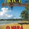 Luanne Rice – O vară de neuitat