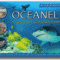 Jen Green – Oceanele. 3D Pop-up Explorer