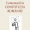 Valentin Constantin – Comentarii la Constituţia României