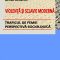 Anghel Alina – Violenţă şi sclavie modernă. Traficul de femei, perspectivă sociologică