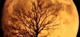 Testamentul spiritual al lui Gabriel García Márquez