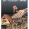 Doina Ruşti – Omuleţul roşu