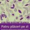 Evelyne Bissone Jeufroy – Patru plăceri pe zi. Binefacerile plăcerii asupra corpului şi spiritului