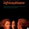 Audrey Niffenegger – Simetria ei înfricoșătoare
