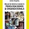 Zoltan Bogathy – Manual de tehnici şi metode în psihologia muncii şi organizaţională