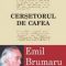 Emil Brumaru – Cerşetorul de cafea
