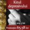 William Styron – Kitul depresivului