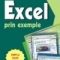 Silvia Curteanu – Excel prin exemple