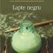 Elif Shafak – Lapte negru