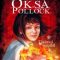Cendrine Wolf – Oksa Pollock. Tărâmul invizibil. Vol 1