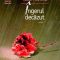 Mishima Yukio – Îngerul decăzut