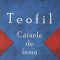 Cosmin Perța – Teofil și Câinele de lemn