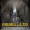 Nicolae Breban – Drumul la zid
