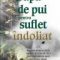 Jack Canfield – Supă de pui pentru suflet îndoliat