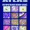 George Cristian Curcă – Atlas de histopatologie medico-legală
