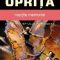 Mircea Opriţă – Nopțile memoriei