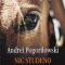 Andrei Pogorilowski – Nic Studeno. Al doilea cartuş