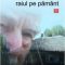 Radu Vasile – Raiul pe pământ