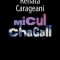 Renata Carageani – Micul Chagall