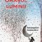 Liudmila Petrusevskaia – Oraşul luminii