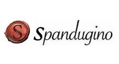 Lansare de carte: Mărturia unei vieți