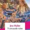 Jess Walter – Frumoasele ruine