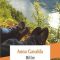 Anna Gavalda – Billie