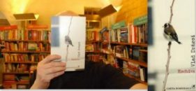 Lectură publică la Brașov: Eschiva, de Vlad Drăgoi