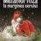 Mathias Malzieu – Metamorfoză la marginea cerului